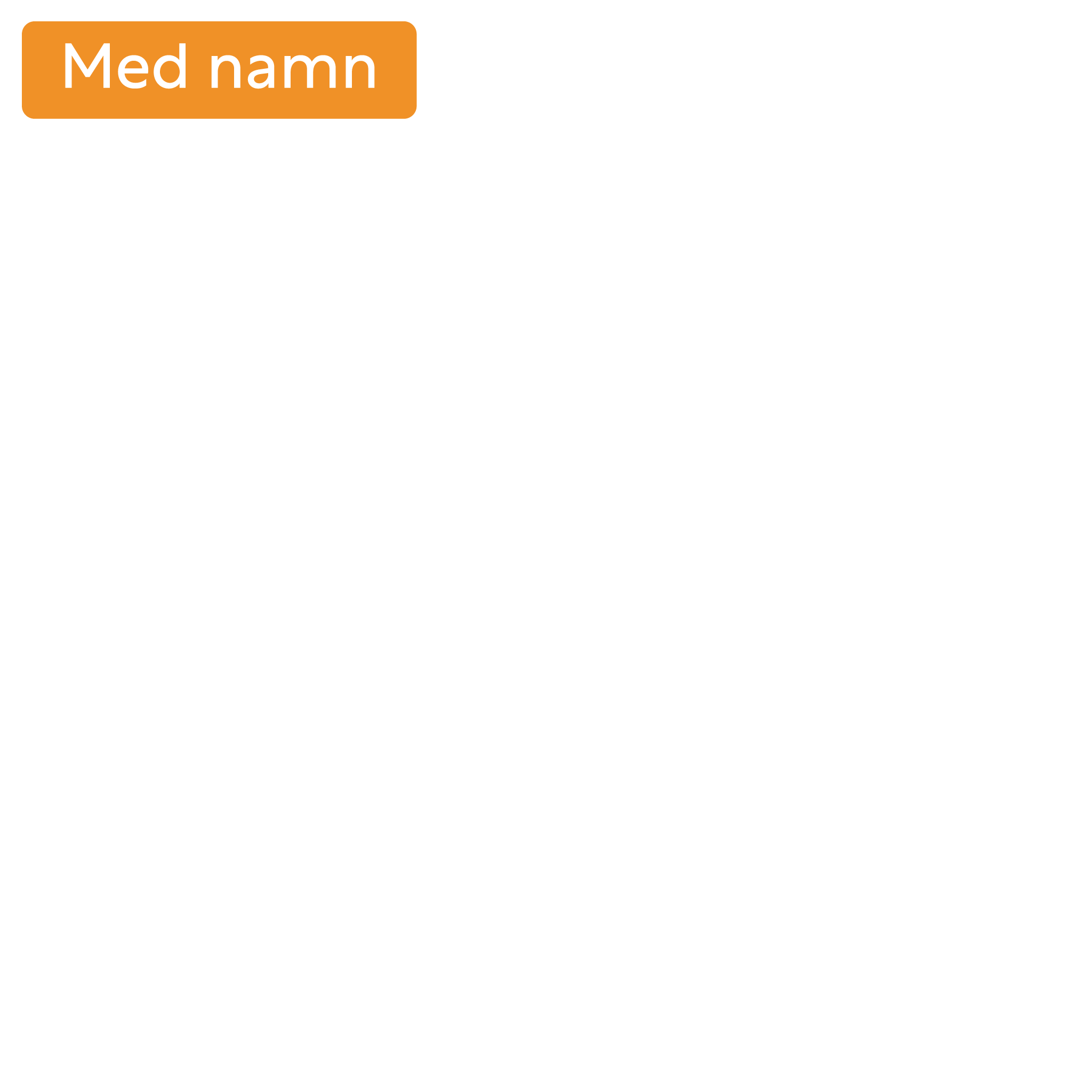 Nyckelband LS