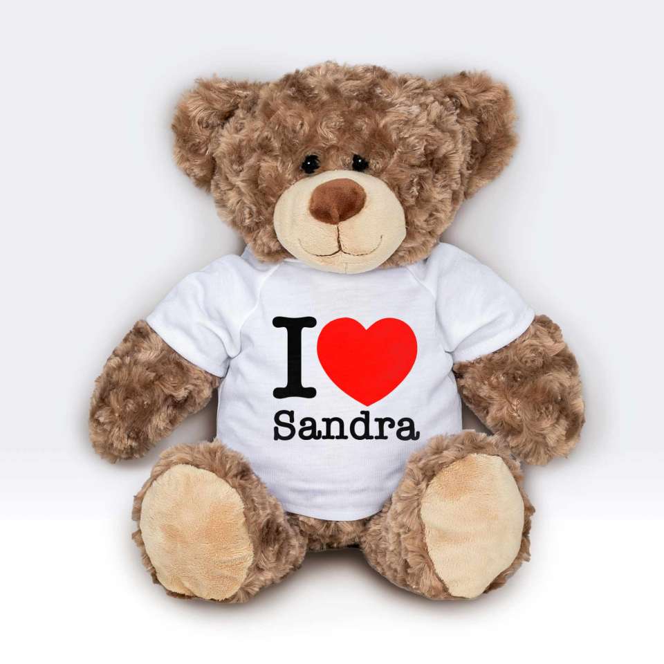 Teddy T-shirt I Love